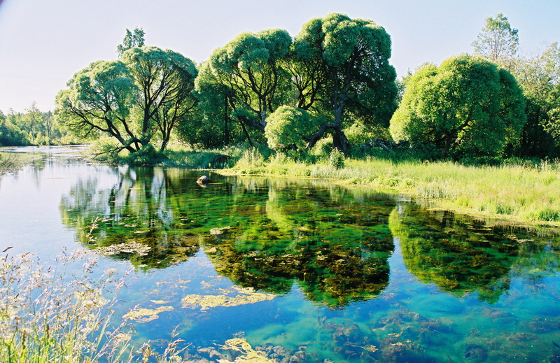 Усадьба Н.Рериха Усадьба Н.Рериха