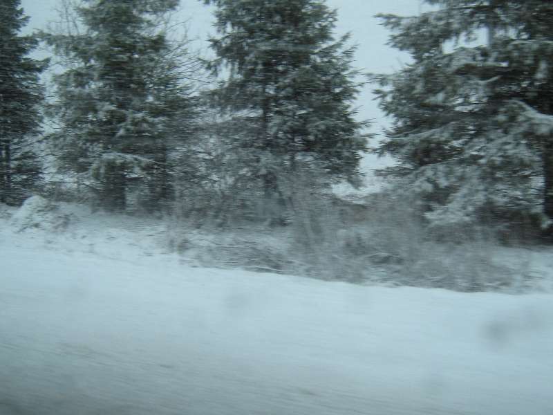 Берестовое 18.04.10