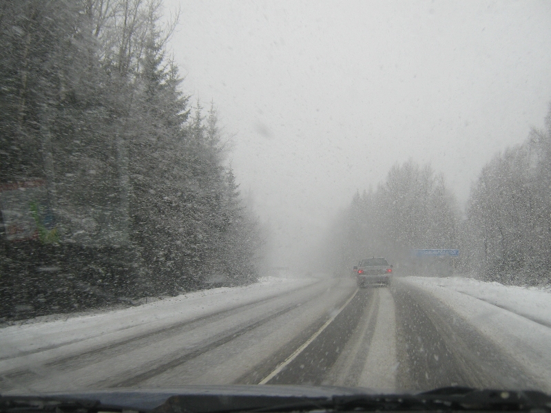 Берестовое 18.04.10