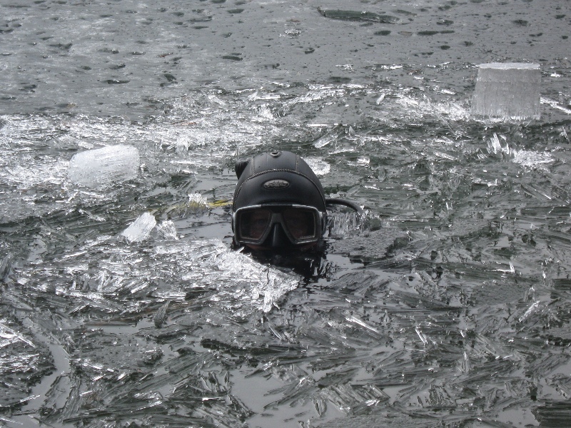 Берестовое 18.04.10