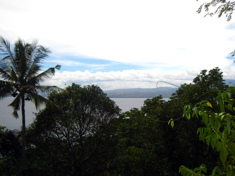 Апо. Полпути к Пику Идиотизма...