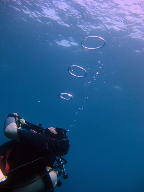 Самый лучший гид Винг! Самый лучший гид Винг!