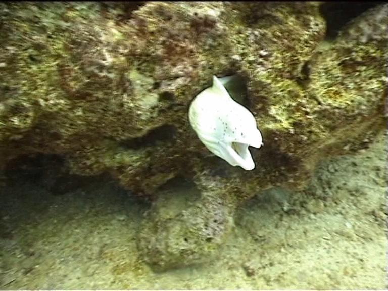 Египет, Хургада. Март 2007 года. Египет, Хургада. Март 2007 года.