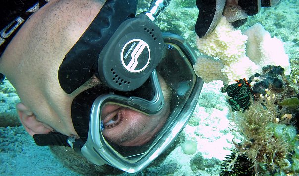 Дайверы. Фото Ирины Фурсовой