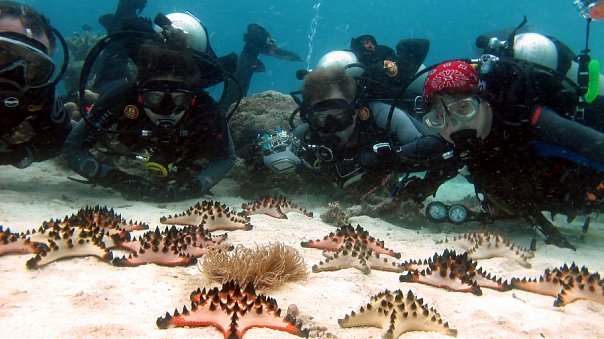 Дайверы. Фото Ирины Фурсовой