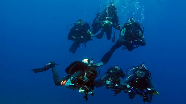 Дайверы. Фото Ирины Фурсовой