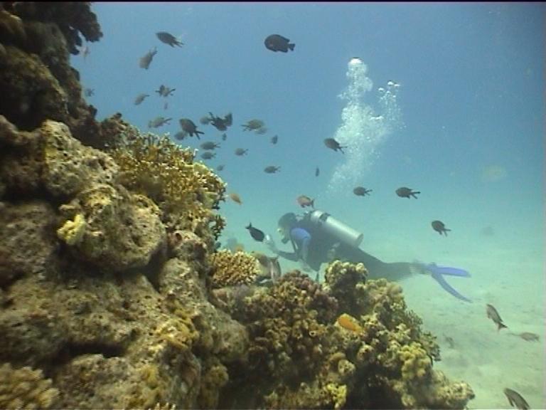 Египет, Хургада. Март 2007 года. Египет, Хургада. Март 2007 года.