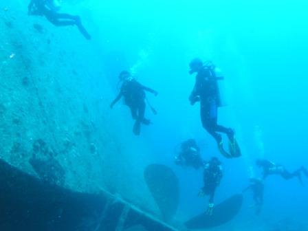THISTLEGORM