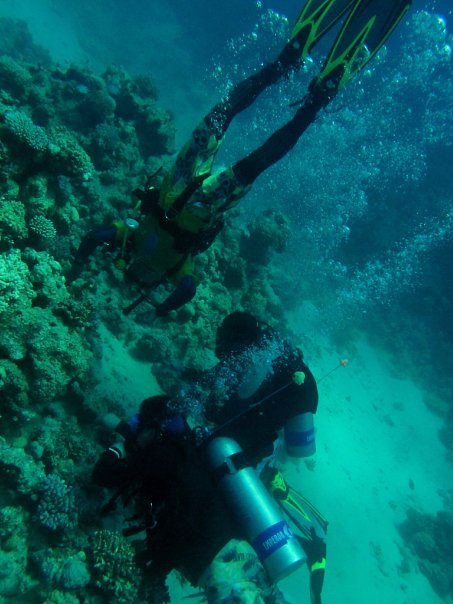 Сафари St.Jons