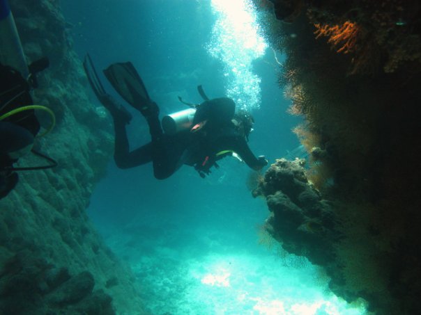 Сафари St.Jons