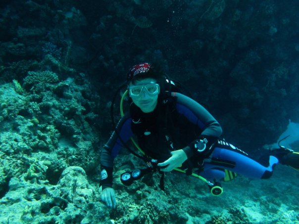 Сафари St.Jons