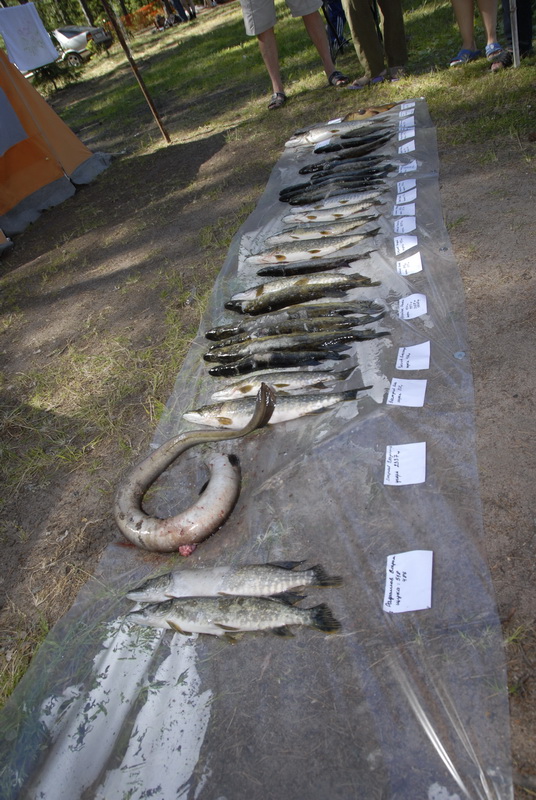 Копанское 2010