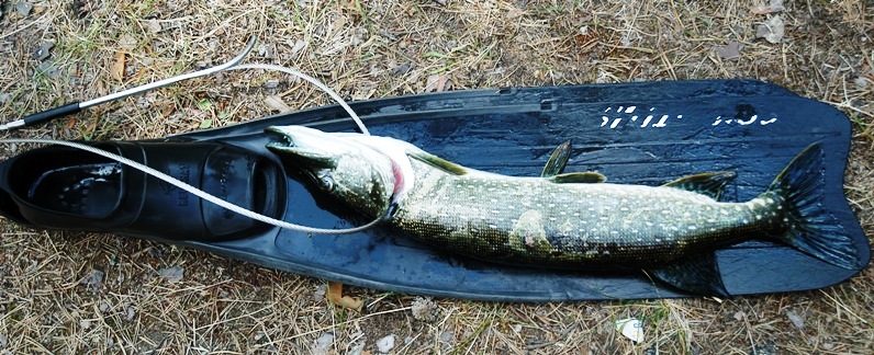 оз. Саперное 17-07-2010