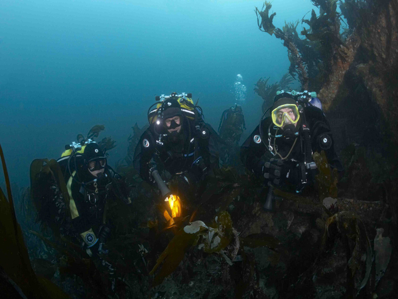 Скапа Флоу Скапа Флоу