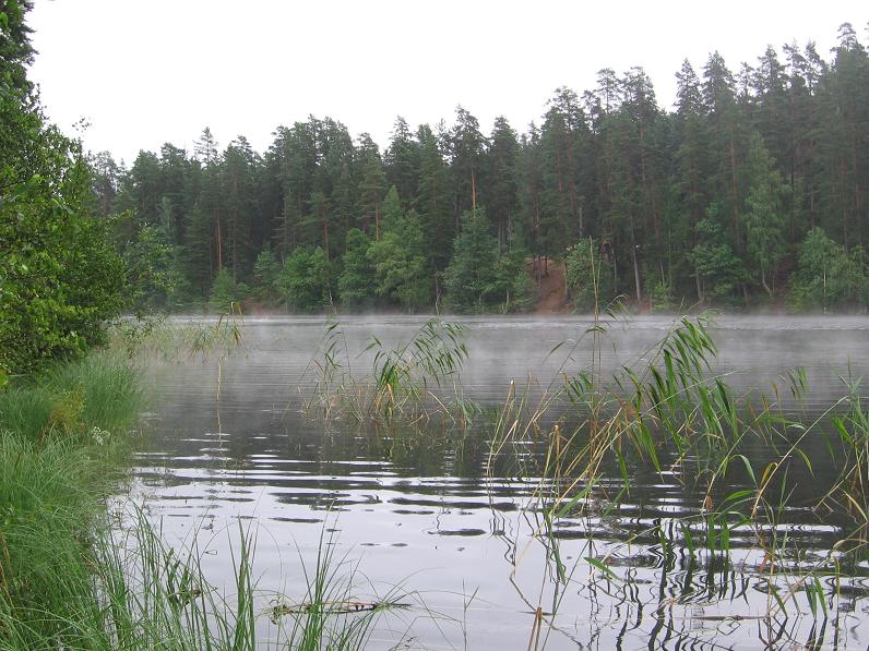 Ягодное, 24-07-2010 Ягодное, 24-07-2010