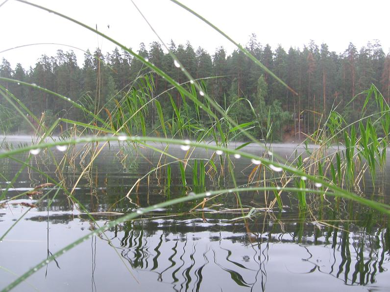 Ягодное, 24-07-2010