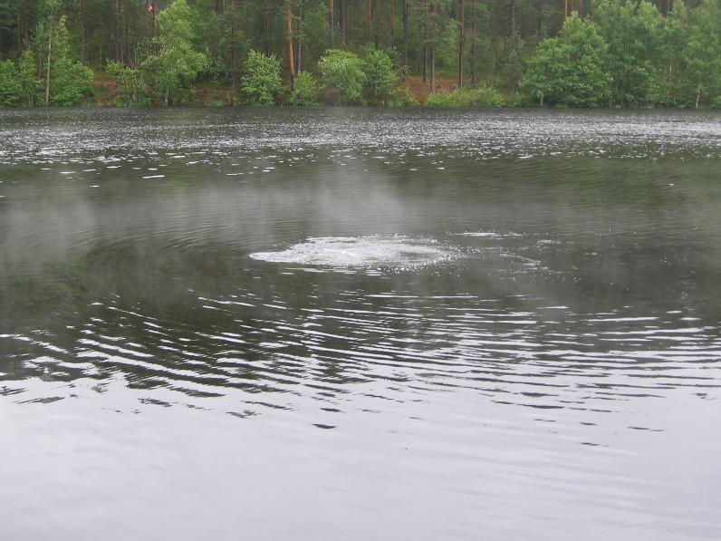 Ягодное, 24-07-2010