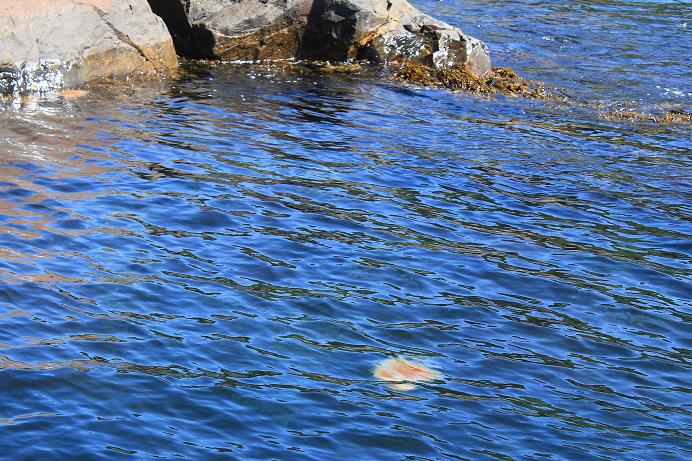 Норвегия 2010