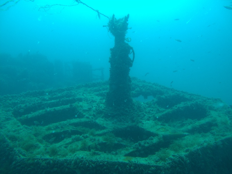 Морской охотник