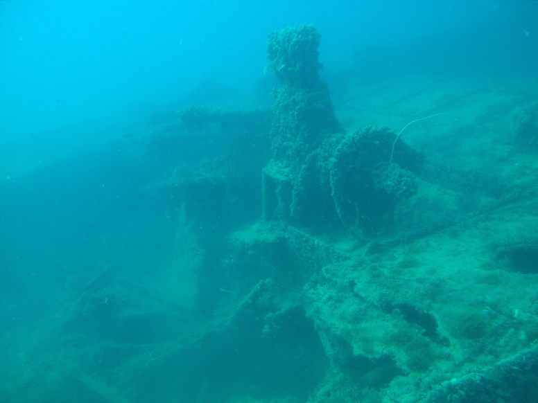 Морской охотник