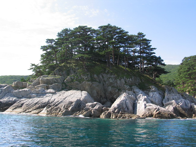 Дальний восток