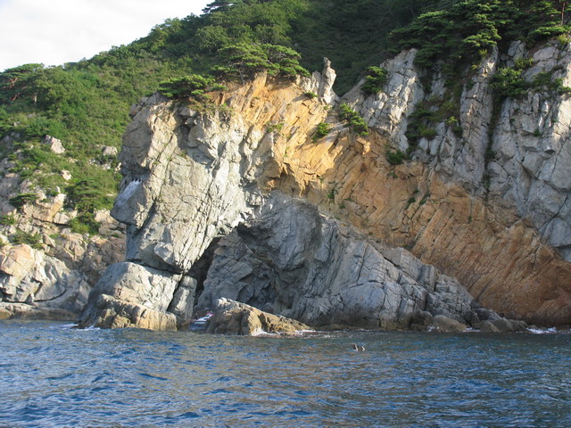 дальний восток