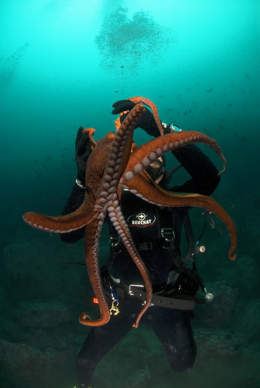 Приморье 2010