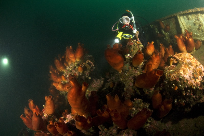 Приморье 2010