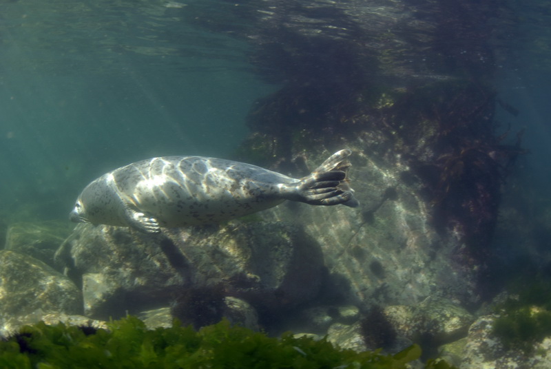 Приморье 2010