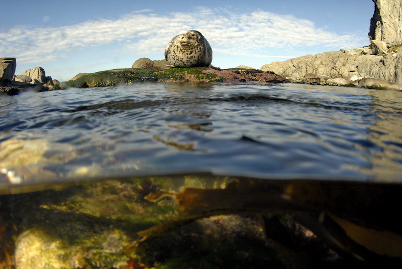 Приморье 2010