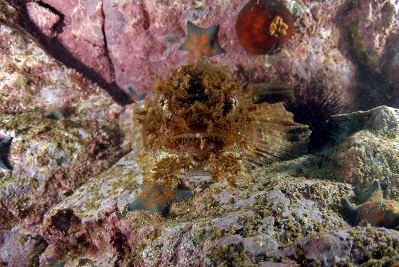 Приморье 2010