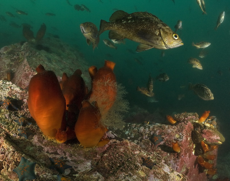 Приморье 2010