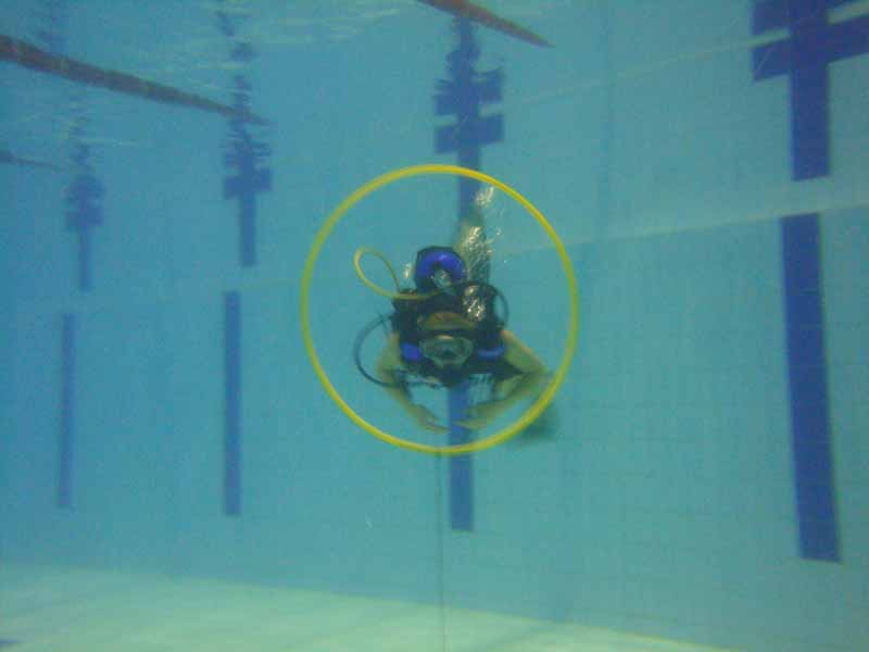 Бассейн клуба Лис