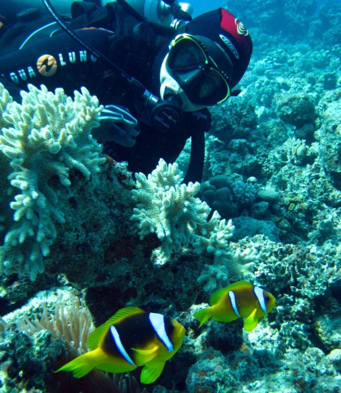 Амфиприоны.