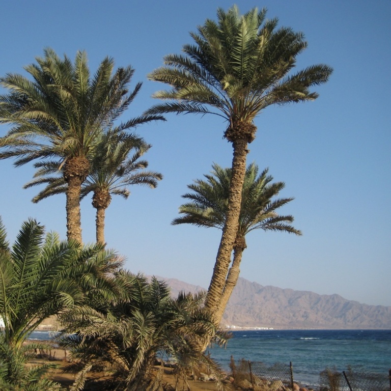 Дахаб, Ассала.