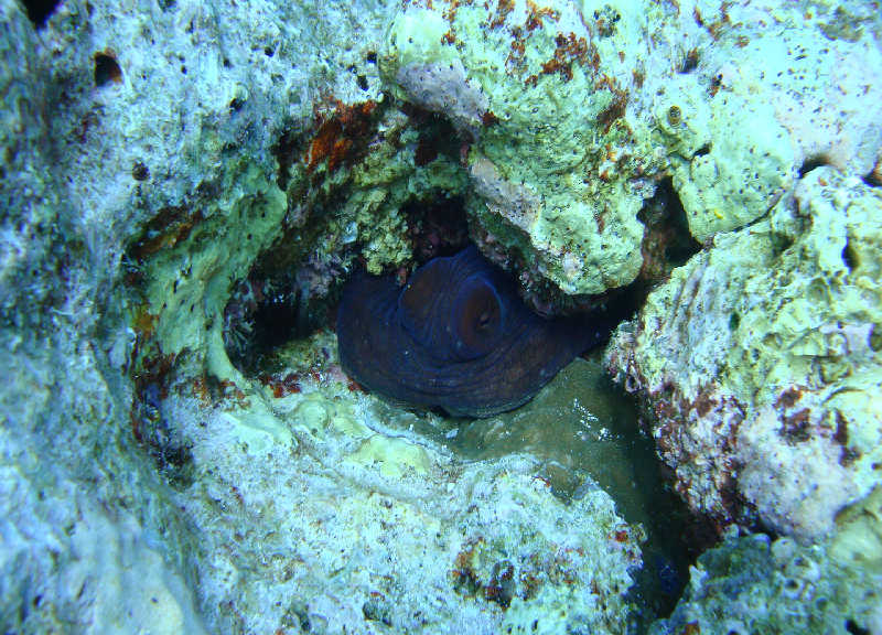 Таиланд декабрь 2010 Таиланд декабрь 2010