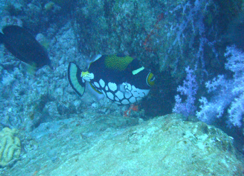 Таиланд декабрь 2010 Таиланд декабрь 2010