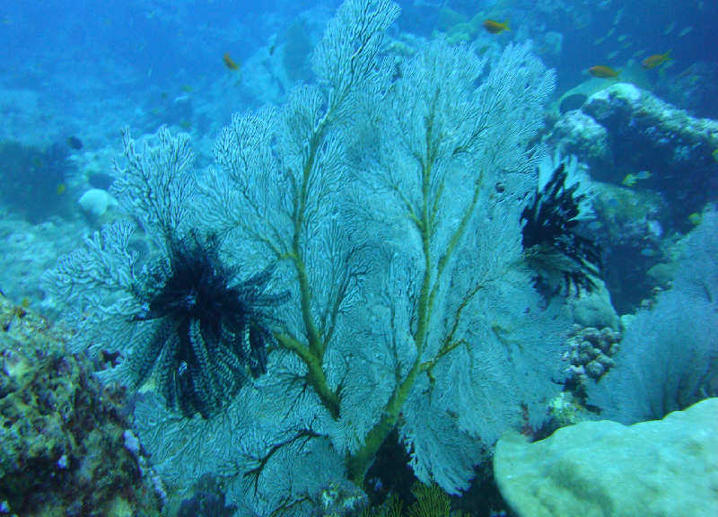 Таиланд декабрь 2010 Таиланд декабрь 2010