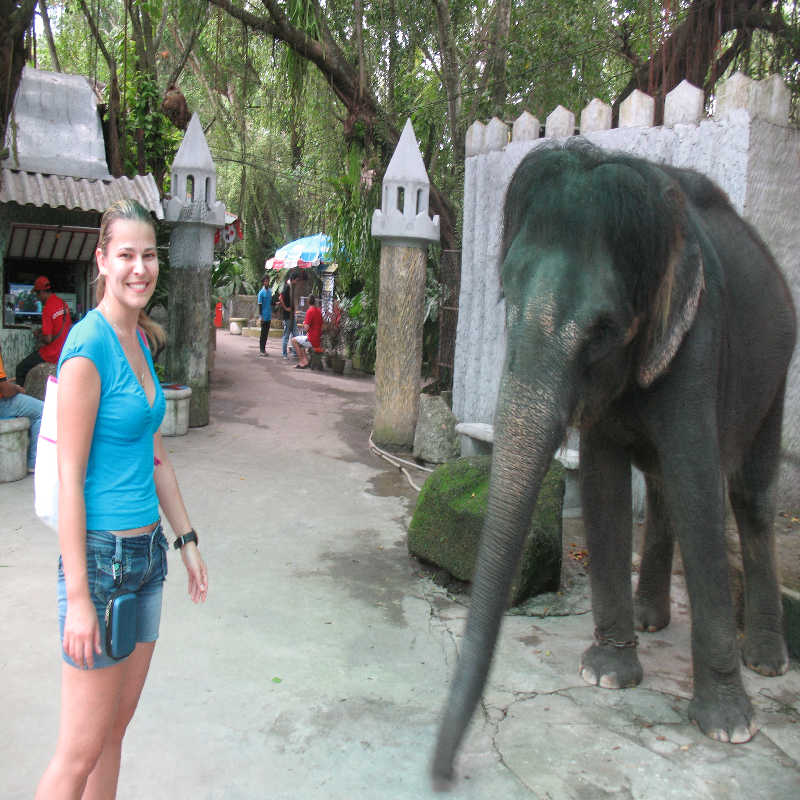 Таиланд декабрь 2010 Таиланд декабрь 2010