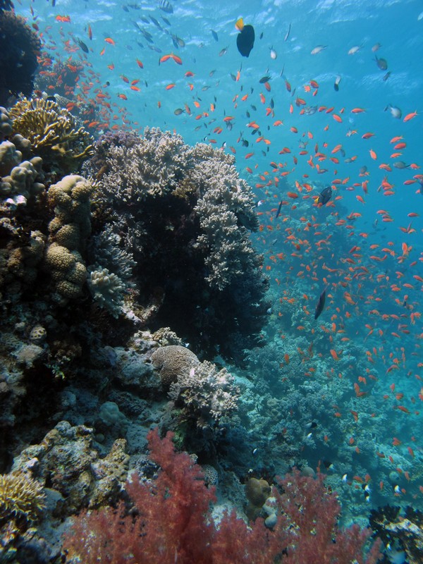 Хургада 01_11