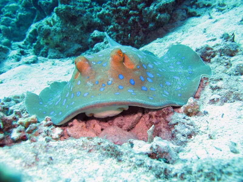 Хургада 01_11