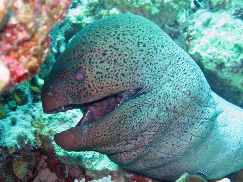 Хургада 01_11