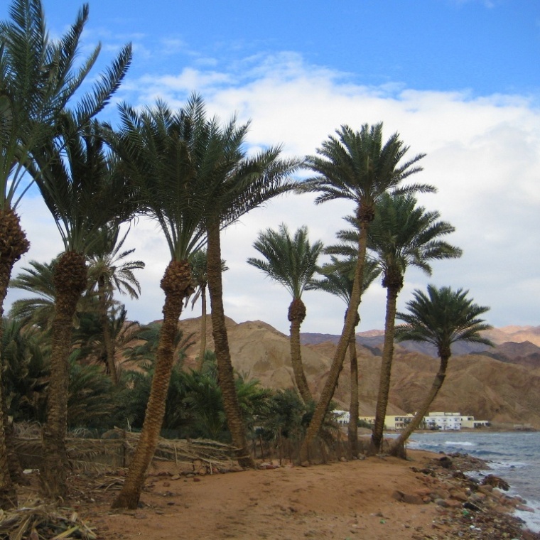 Дахаб после дождя.