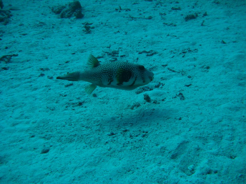 Хургада 01_11