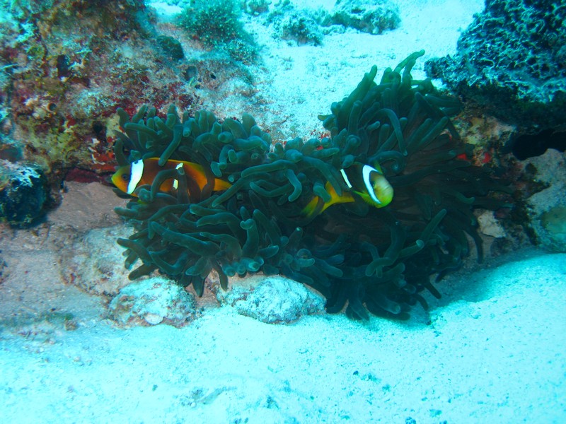 Хургада 01_11