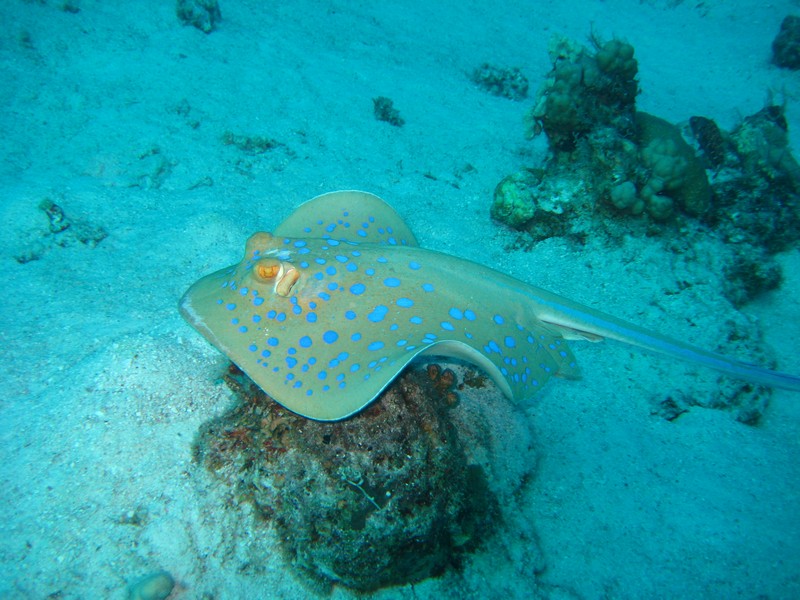 Хургада 01_11