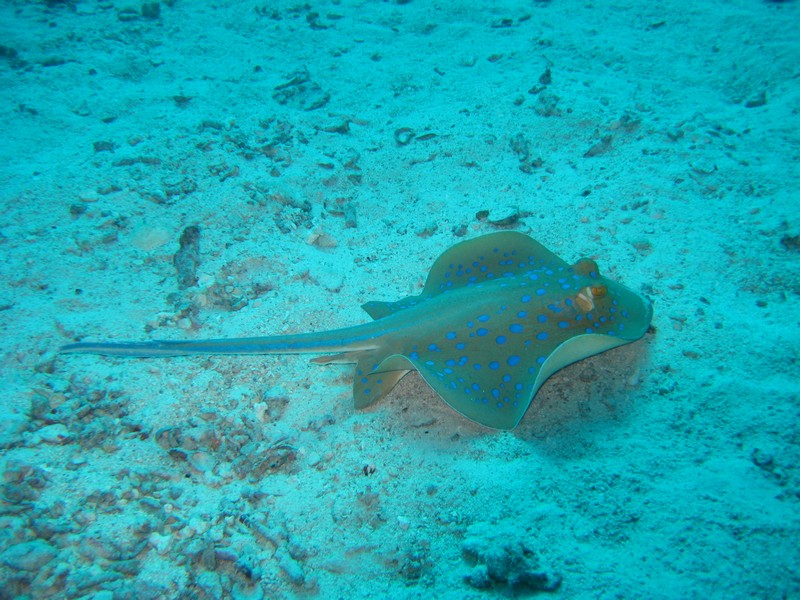 Хургада 01_11