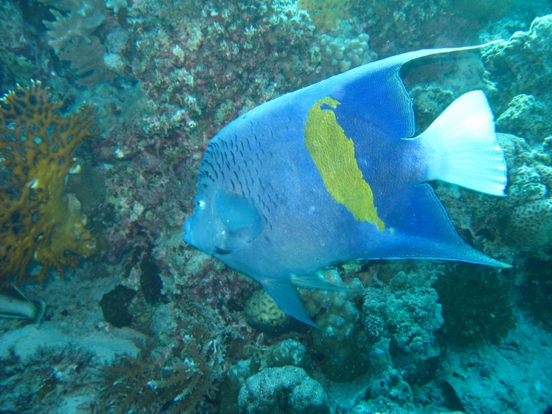 Хургада 01_11