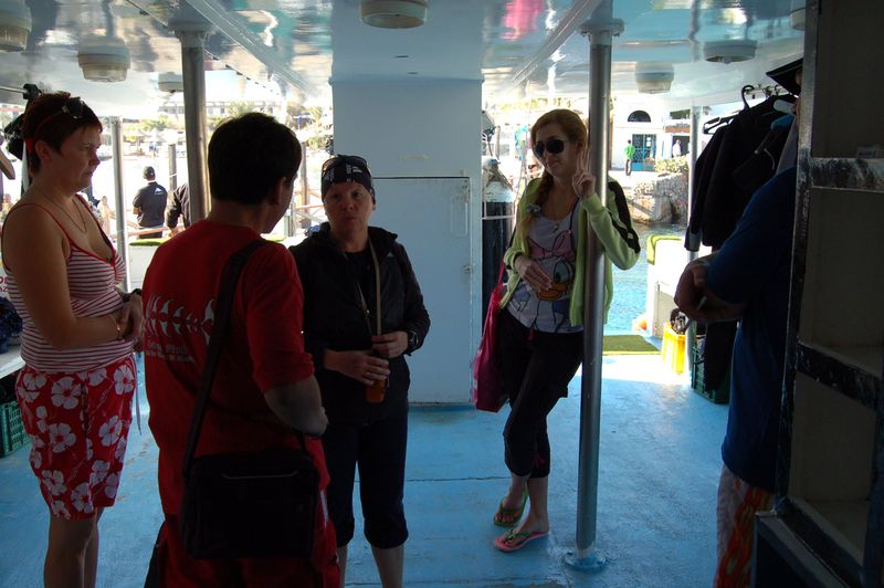 Новый год 2011