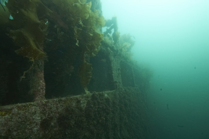 Борт и галерея